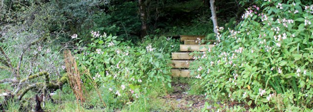 18 steps to board walk, Ruth hinking the Arran Coastal Way, Lamlash Bay