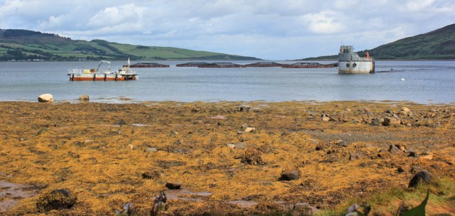 19 fish farm off Holy Island, Ruth hiking the Arran Coastal Way, Scotland