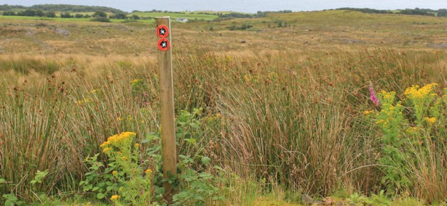 24 Isle of Arran Coastal Way, alternative route to Kildonan, Ruth hiking in Scotland