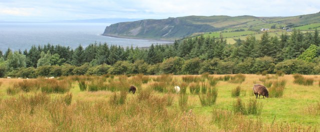 29 Bennan Head, Ruth hiking Arran Coastal Way, Scotland