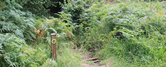 33 Ruth hiking the Arran Coastal Way, Scotland