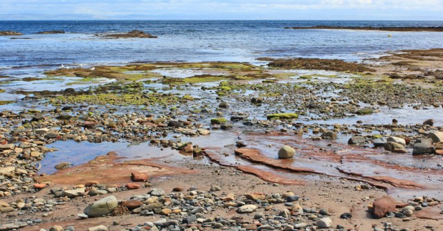 36 shore at Whiting Bay, Ruth hiking the Arran Coastal Way, Scotland