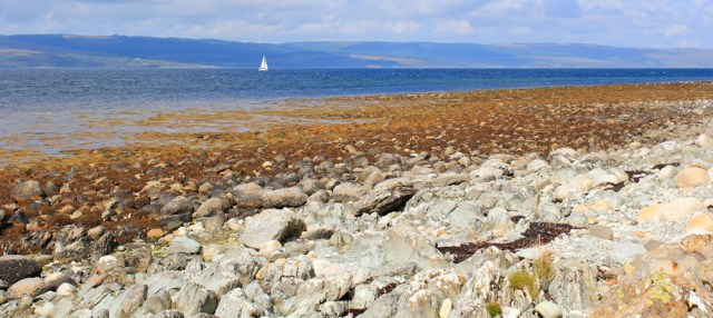 07 rocky shore, west coast of Arran, Ruth hiking in Scotland