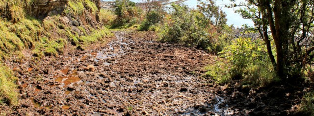 13 muddy track to sea, Ruth hiking the Arran Coastal Way