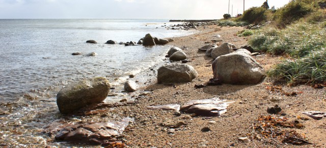 04 rocky shore, Arran, Ruth Livingstone