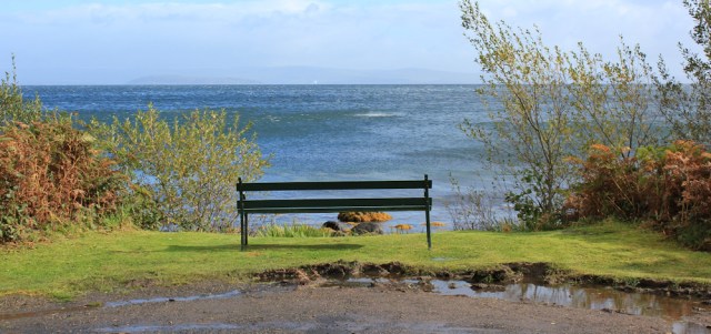 06 seals off Sannox, Ruth Livingstone walking the coast of Scotland