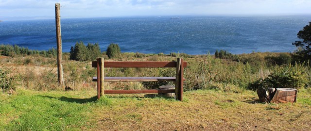 21 logging spot, Merkland Wood, Ruth Livingstone on the Isle of Arran