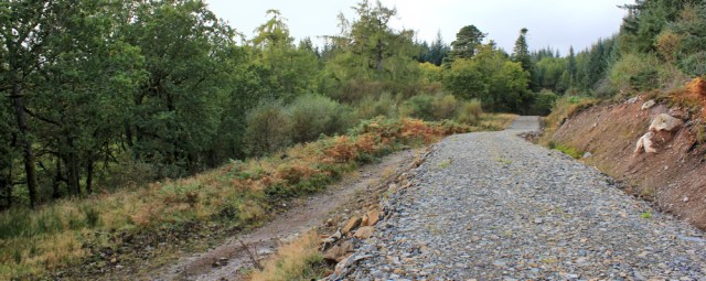 24 logging track through Merkland Wood, Ruth hiking on Arran