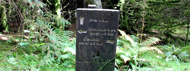 28 forestry commission signs, Ruth hiking through Merkland Wood, Arran