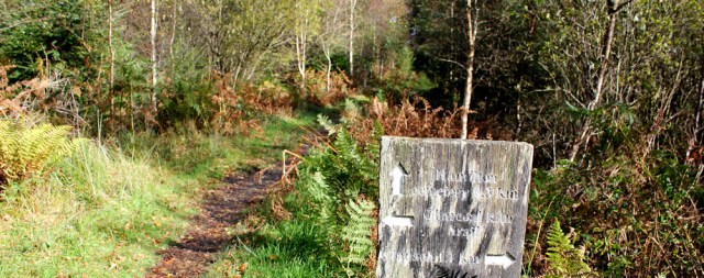 31 path to Hamilton Cemetary, Ruth's coastal walk, Brodick, Arran