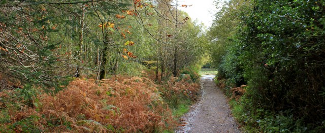 34 autumn colours, Merkland Wood, Ruth hiking on Arran