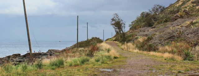 37 logging track, Ruth hiking the Arran coast path