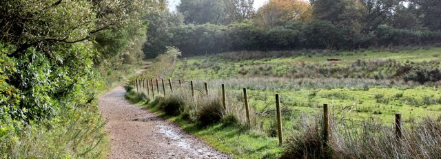 37 track down to road, Ruth Livingstone hiking on Arran