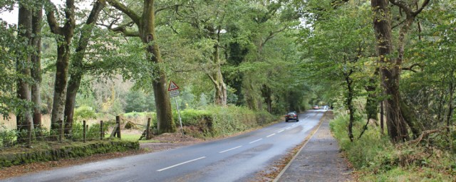 41 road into Brodick, Ruth on the Arran Coastal Way