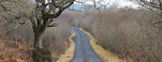02 marker pole, Kintyre Way, Ruth's coastal walk