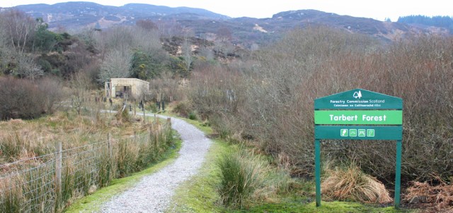 09 Tarbert Forest, Ruth hiking in Scotland