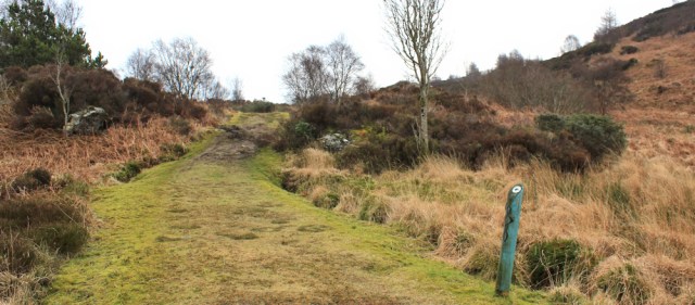 10 climbing out of Tarbert, Ruth following the Kintyre Way