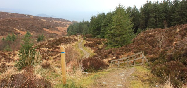14 Ruth hiking through Tarbert Forest, Scotland