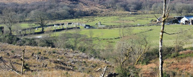 15 cemetary in the valley, Ruth Livingstone