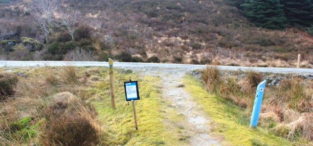 17 logging track, Ruth hiking from Tarbert