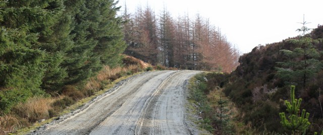 18 Ruth hiking the Kintyre Way, Scotland, logging tracks