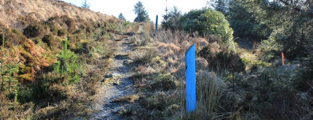 27 path up hill, Ruth's coastal walk, Carradale