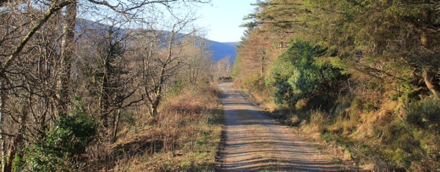 38 sawmill wood, Ruth hiking around forests in Carradale