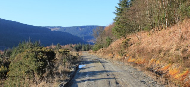 39 forestry tracks, Carradale, Ruths coastal walk in Scotland