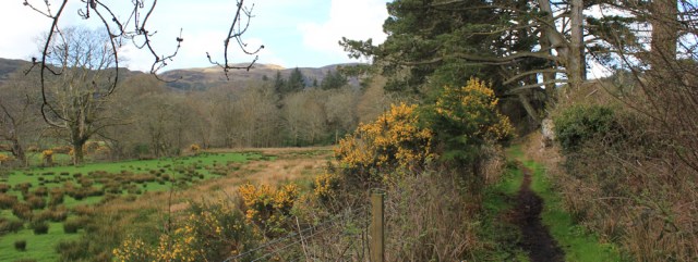 03 walking to Waterfoot, Ruth's coastal walk, Kintyre, Scotland