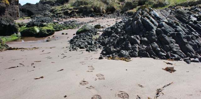 42 following in other walkers' steps, Ruth Livingstone