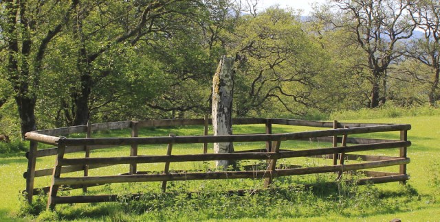 05 standing stone, Ruth's coastal walk, Argyll, Scotland