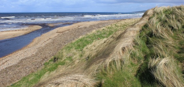 06 dunes, Machrihanish Bay, Ruth hiking the Mull of Kintyre