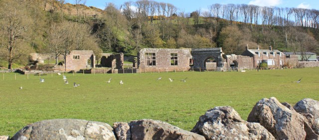 06 ruined cottages, Ruth's coastal walk, Mull of Kintyre