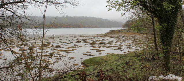 14 west loch, Tarbert, Ruth's coastal walk around Scotland