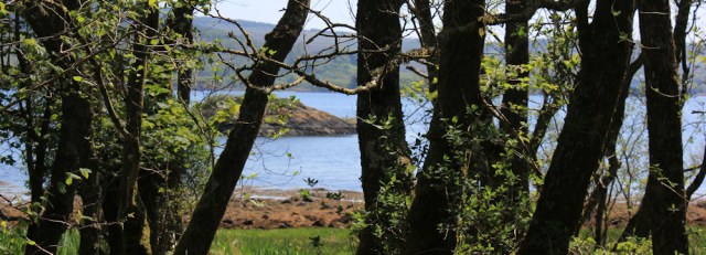 16 West Loch Tarbert, Ruth's coastal walk, Argyll, Scotland
