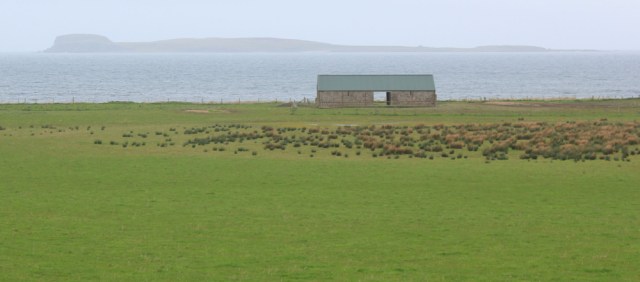 17 Cara island, Ruth's coastal walk, Kintyre, Scotland