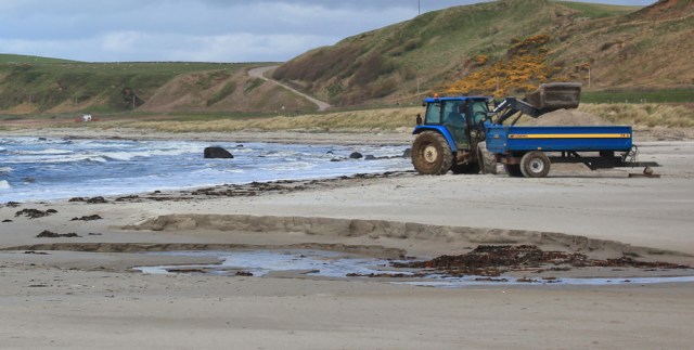 22 excavating sand, Bellochantuy beach, Ruth's coastal walk