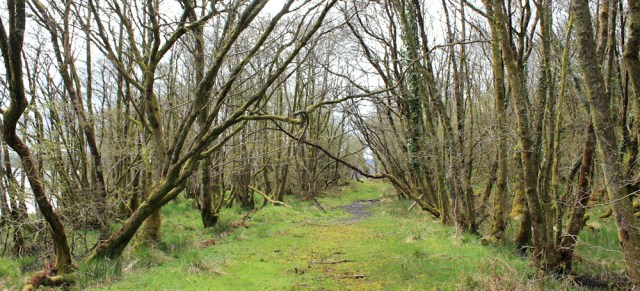 23 old coast road, West Tarbert, Ruth's coastal walk