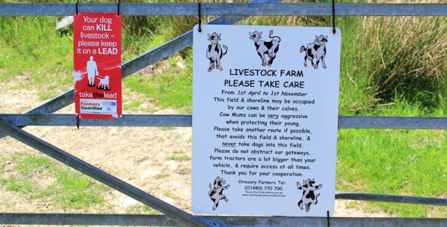 32 warning notices, Cretshengan Bay, Ruth's coastal walk to Ormsary