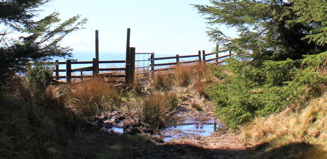 40 over stile, Ruth's coastal walk, Mull of Kintyre