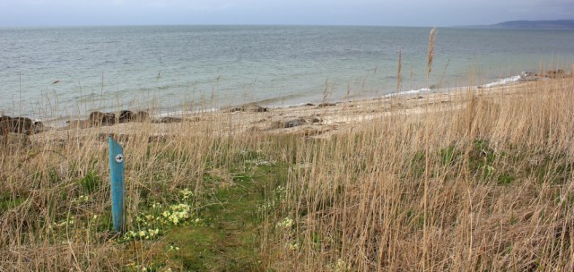 46 Ruth's coastal walk, Kintyre Way, Scotland