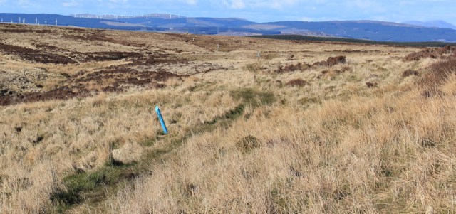 50 Ruth's coastal walk, Mull of Kintyre, hiking to Machrihanish