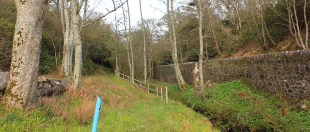 53 walk through Ronachan House grounds, Ruth Livingstone