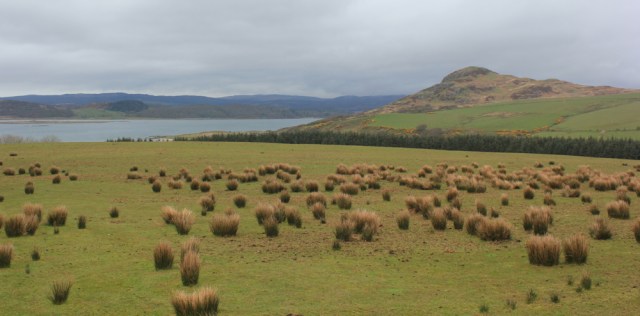 57 West Loch, Tarbert, Ruth's coastal walk, Kintyre, Scotland