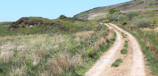 01 cow pass without cows, Ruth's coastal walk, Argyll, Scotland