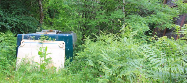 03 overgrown path, Ruth's coastal walk, Scotland