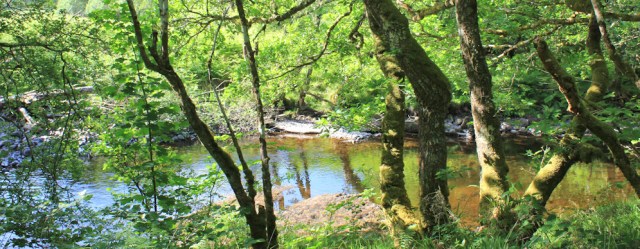 03 stream, Kilninver, Ruth's coast walk around Scotland