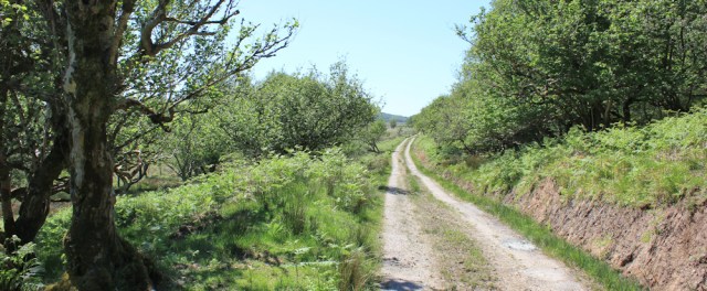 05 track down from Ellary estate, Ruth's coastal walk, Argyll, Scotland