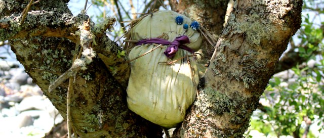 06 scarecrow in tree, Ruth's coastal walk, Argyll, Scotland