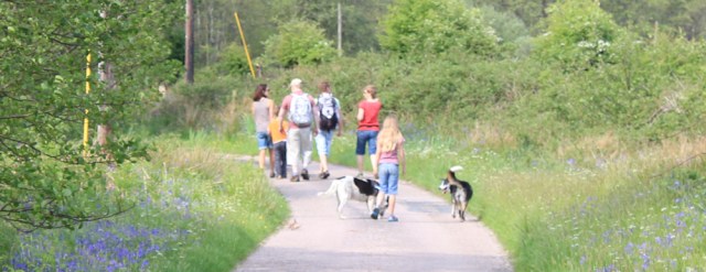 07 family walking, Ruth's coastal walk, Argyll, Scotland
